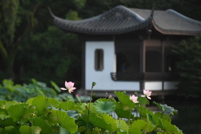 華邦瀛集團(tuán)二十四節(jié)氣特輯